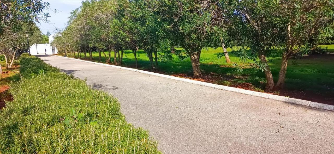 Вілла Casa Con Piscina Privada Y Barbacoa En Chiclana Capacidad Hasta 10 Personas Чиклана-де-ла-Фронтера Екстер'єр фото